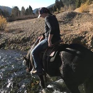 Meet your Posher, Krysha